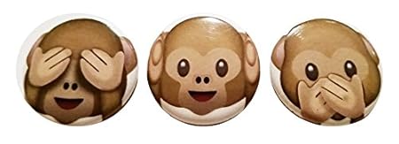 Image result for see no evil monkey