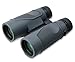 Carson 3D Series 10x42mm Binocular with High Definition Optics (TD-042)