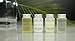 Terra Pure Shampoo, Travel Size Hotel Amenities, 1 oz. (Case of 100)