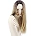 Netgo Blonde Ombre Wigs Long Straight Synthetic Full Wigs Ombre for Women with Cap