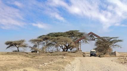 Entrance gate at Serengeti, Tanzania (71865751), Aluminium - Sandwich Panel, 90 x 50 cm