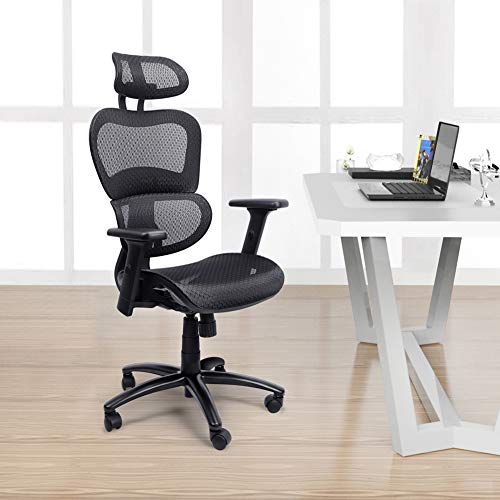 Mysuntown Ergonomic Mesh Office Chair with Back Support, Adjustable Headrest & Adjustable Armrest Lumber Support Desk Executive & Task Chair for Home Office Conference Room