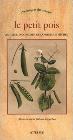 Le  petit pois