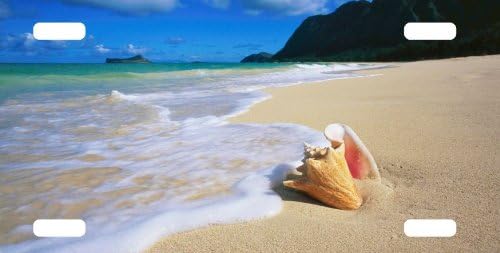 Sea Shell Beach License Plate