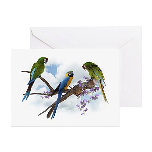 CafePress - Macaw Parrots - Greeting Card, Note Card, Birthday Card, Blank Inside Glossy