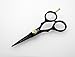 Professional Hairdressing Scissors 4.5 inch, BLACK, Small Size for Detailed Jobs. Suitable for Hair Cutting, Beard Mustache Trimming + Presentation Case & Tip Protector