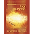 Iron Sunrise (Singularity Book 2)