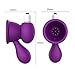 2 PCS Electric Nipples Sucker Pump-Pelepas Medical Silicone Silent Powerful Vibrating Bullet Breast Pump Clit Massager Teasers Sex Toys Suitable for Both Sexes (Purple)