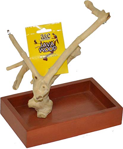 A&E Cages XSmall Java Wood Table Top Bird Play Stand 8"x5"x11"