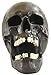 Seraphic Creepy Halloween Human Skull Sculpture with Mouth Open, Black