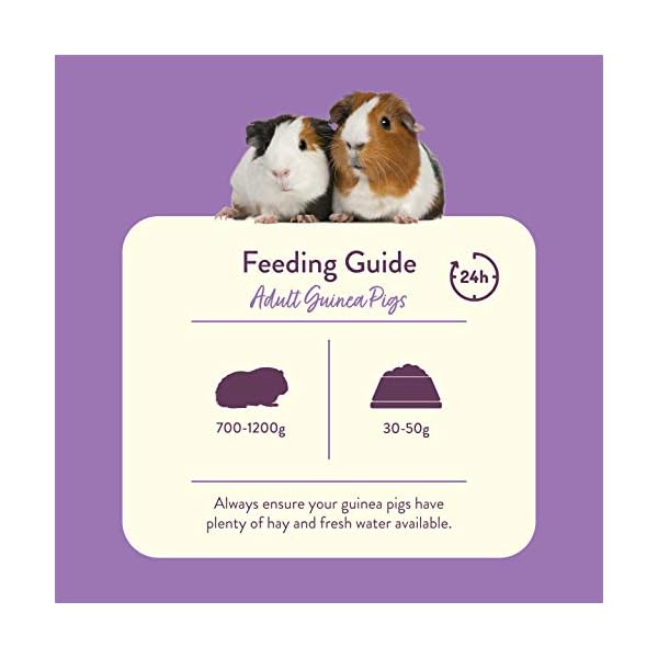 Excel-Burgess-Guinea-Pig-Nuggets-Blackcurrant-and-Oregano-2-kg Excel Burgess Guinea Pig Nuggets Blackcurrant and Oregano, 2 kg