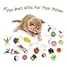 Whoobee Cat Toys Kitten Toys Assortments, Variety Pack for Catnip Toy, Cat Tunnel, Bell Crinkle Balls, Feather Wand, Cat Teaser Toy and Spring, Cat Toys Set for Cat, Puppy, Kitty, Kitten (24PCS)