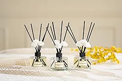 CULTURE & NATURE Reed Diffuser 6.7 oz (200ml) Apple