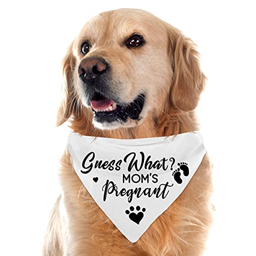 Guess What? My Mom is Pregnant, Pregnancy Announcement Dog Bandana