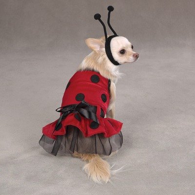 Lady Bug Dog Costume