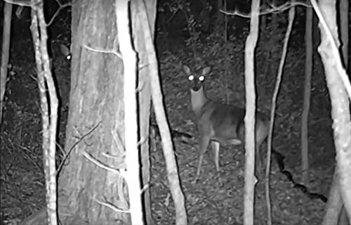 4 X+Vision+Deluxe+Rechargeable+Digital+Goggles