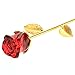 NUOLUX Valentines Day Gift,Crystal Rose Flower for Her (Red)