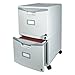 Storex Two-Drawer Mobile File Cabinet with Lock, 14.8 x 18 x 26-Inch, Gray (61301B01C)