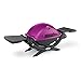Weber 51210001 Q1200 Liquid Propane Grill, Fuchsia