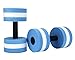 Leegoal TM 1 Pair Water Aerobic Exercise Foam Dumbbells Pool Resistance, Water Fitness Exercises Equipment for Weight Loss,Blue