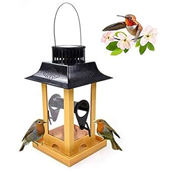 Amazon Com Solar Led Lighting Bird Feeder Hanging Type Outdoor