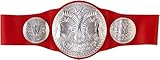 WWE  RAW Tag Team Championship Belt Frustration-Free Packaging