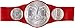 WWE  RAW Tag Team Championship Belt Frustration-Free Packaging