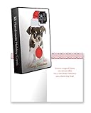 12 Count Christmas Holiday Boxed Cards w/Envelopes