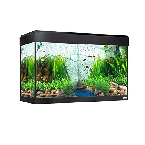 Fluval Roma Bluetooth LED Aquarium Kit, 125 L, Black