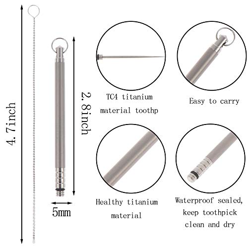 3 Sets Titanium Toothpicks Portable Toothpicks Sets Metal Pocket Toothpick Stainless Steel Toothpick Holder with 3 Cleaning Brushes for Travel Picnic Outdoor Activities