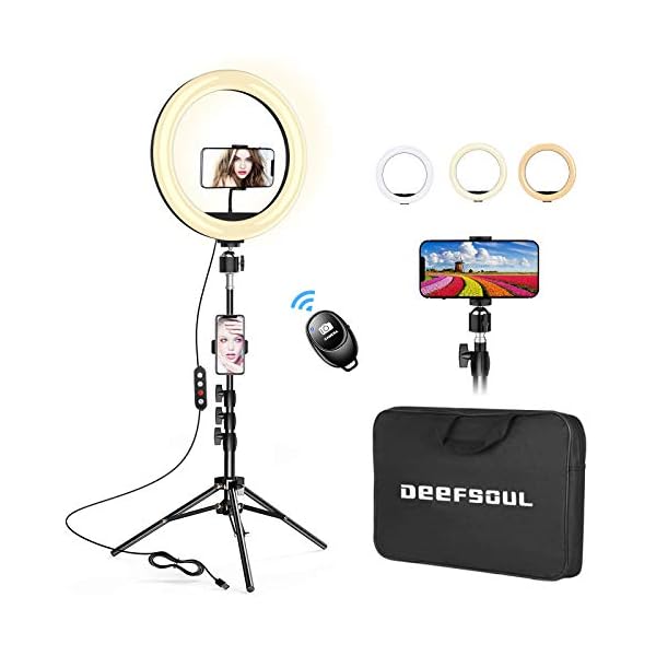 Deefsoul Ringlicht mit Stativ, 10.2" Selfie Ringleuchte Doppel-Handyhalter mit 3 Farbe und 10 Helliakeitsstufen, mit Aufbewahrungstasche, für Makeup, Live-Streaminq, Selfie, Vlog, TikTok