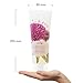 100% PURE Burdock & Neem Healthy Scalp Clarifying Shampoo Moisturizing Detox with Rose Hydrosol Replenishing Cleanser for Dry, Itchy, Flaky Scalp for Women & Men - 8 Fl Oz