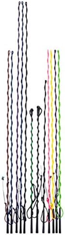 US Whips Lunge Whip Shaft Horse Training Aid & Equipment Stick Treats Black 84"