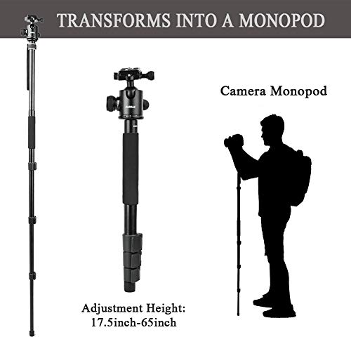Travel Camera Tripod, Abithid 65'' Portable and Compact Aluminum DSLR Monopod Tripod with 360°Panorama 36 mm Ball Head 1/4 Quick Release Plate for Travel and Work