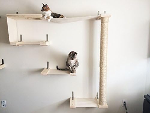 Catastrophicreations Sky Track Cat Hammock Climbing Activity Center Handcrafted Wall Mounted Cat Tree Shelves Buy Online At Best Price In Uae Amazon Ae
