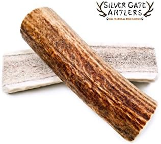 Silver Gate Antlers Elk Antler Dog Chew - Pack of 2, LARGE 5-7" (1 Whole, 1 Split) - USA All Natural Antlers For Dogs - Long Lasting Premium Antler Chews - Perfect for Large Breed Dogs