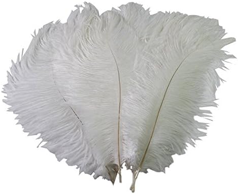 PET SPPTIES Real Natural Home Decor Ostrich Feathers for Home Wedding Decoration PS012 (50PCS White,25-30CM)