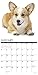 Just Pembroke Corgis 2020 Wall Calendar (Dog Breed Calendar)