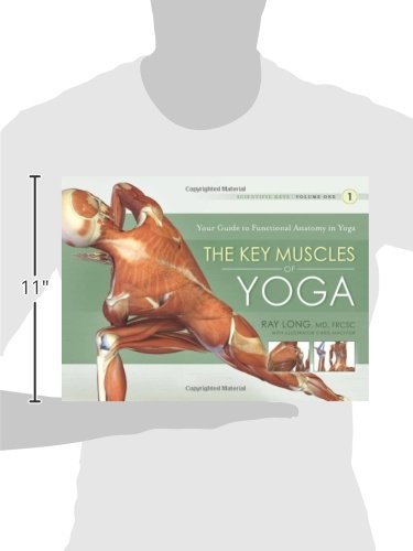 The Key Muscles Of Hatha Yoga Ebook Torrent