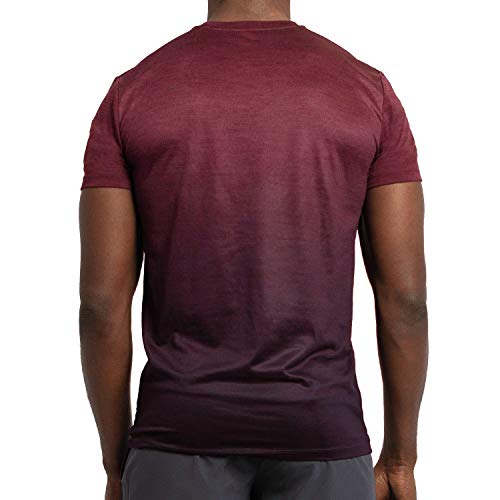 Alive Men's Tee Shirt Active Quick Dry Workout Short Sleeve Shirts Crew Neck (Medium, Sonoma Red Heather/Deep Mullberry Dip)