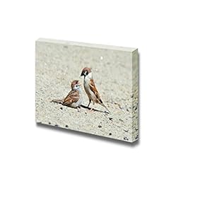 Canvas Prints Wall Art - Eurasian Tree Sparrow Pecks Sunflower Seeds Birds Playing | Modern Wall Decor/Home Decoration Stretched Gallery Canvas Wrap Giclee Print & Ready to Hang - 12" x 18"