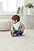 aden + anais Classic Bandana Bib, Stardust