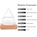 GGPOWER Storm Glass Water Drops Weather Forecast Bottle Storm Bottle Meteorological Display Bottle Creative Glass Crafts Home Decoration (Small)