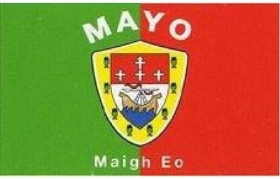 Amazon Com Neoplex Mayo Ireland County Flag Outdoor Flags