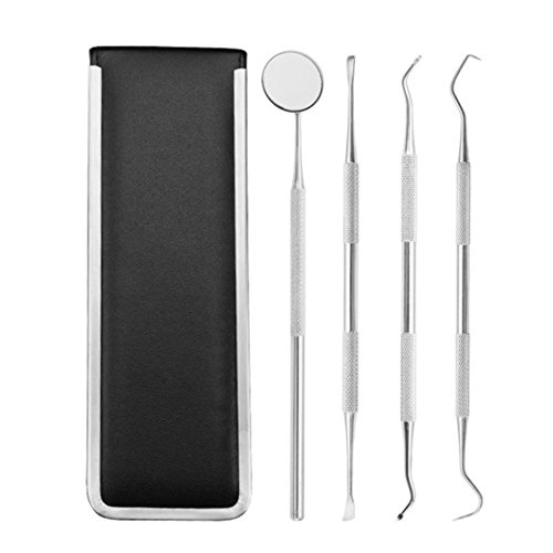 Witspace Essential Dental Hygiene Kit Professional Dental Tools for Home/Medical/Travel Use Oral Care Cleaning