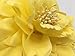 Hair Flower Clips Brooch Boutique Hair Accessories Bohemia Hairpins for Women Girls (Yellow) 1 Count (Pack of 1)