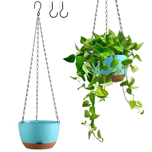 - Hanging Planters