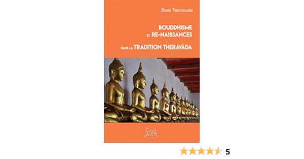 Bouddhisme Et Re Naissances Dans La Tradition Theravada Treutenaere Didier Amazon Com Books
