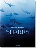 Michael Muller. Sharks by