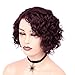FAVE Short Curly Human Hair Wigs for Black Women 8 inches Bob Wigs Side Part Bob Wig Pixie Wigs 99J Color Short Human Hair Wig Natural Looking glueless wigs human hair pre plucked pre cut